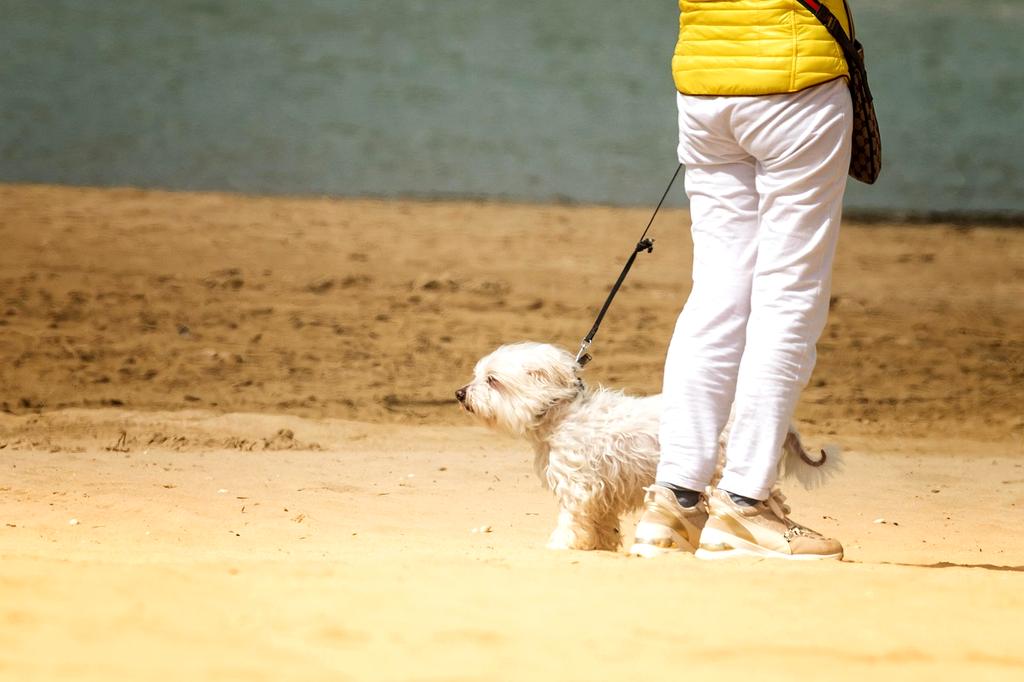 Community beach cleanup event