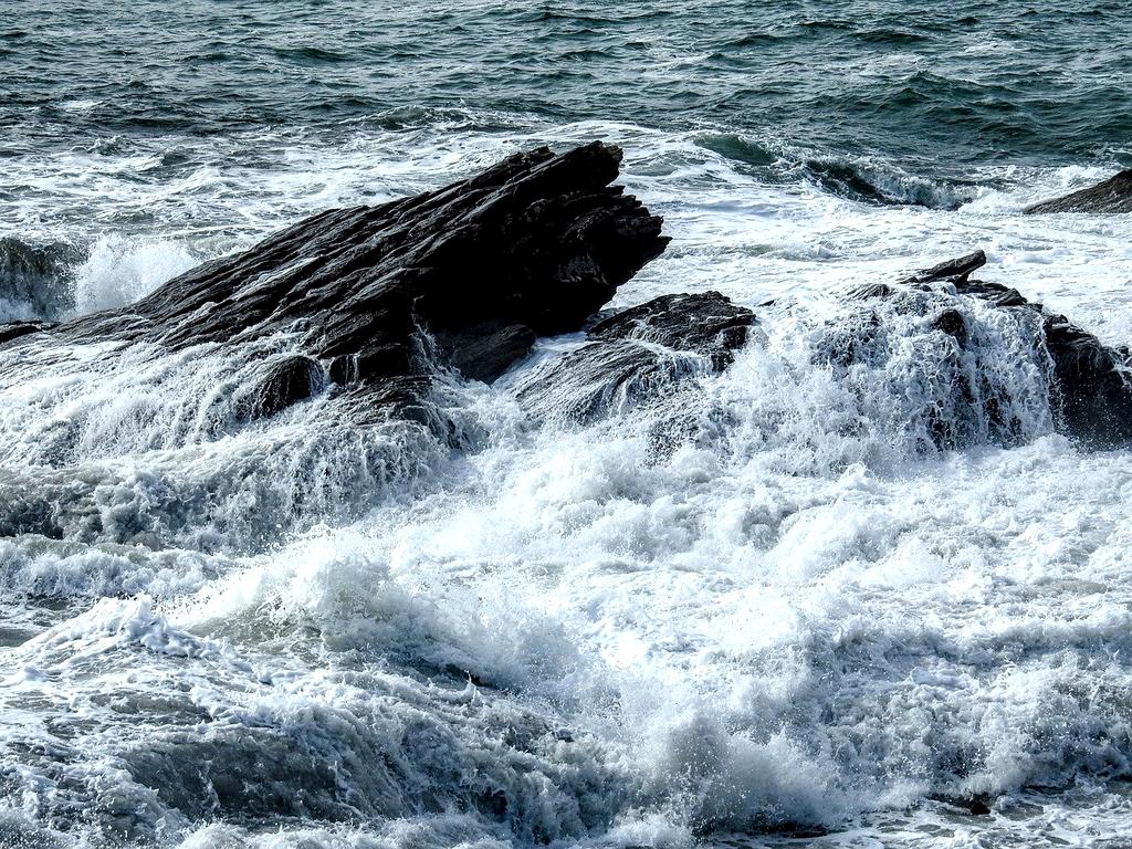 Books and notes on marine biology by the ocean