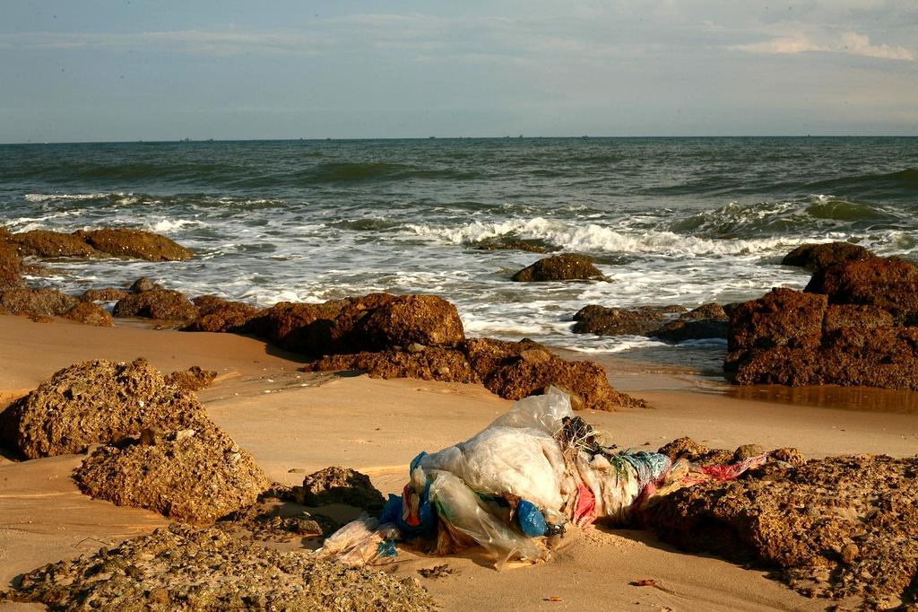 Ocean pollution with plastics